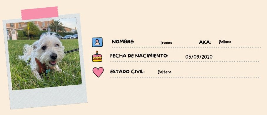 Imagen no disponible